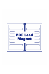 PDF Lead Magnet Service